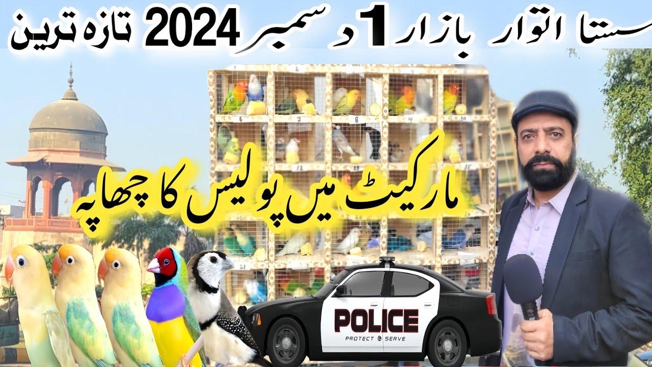 Sunday Birds Market Shalimar Bagh Lahore | birds market latest update