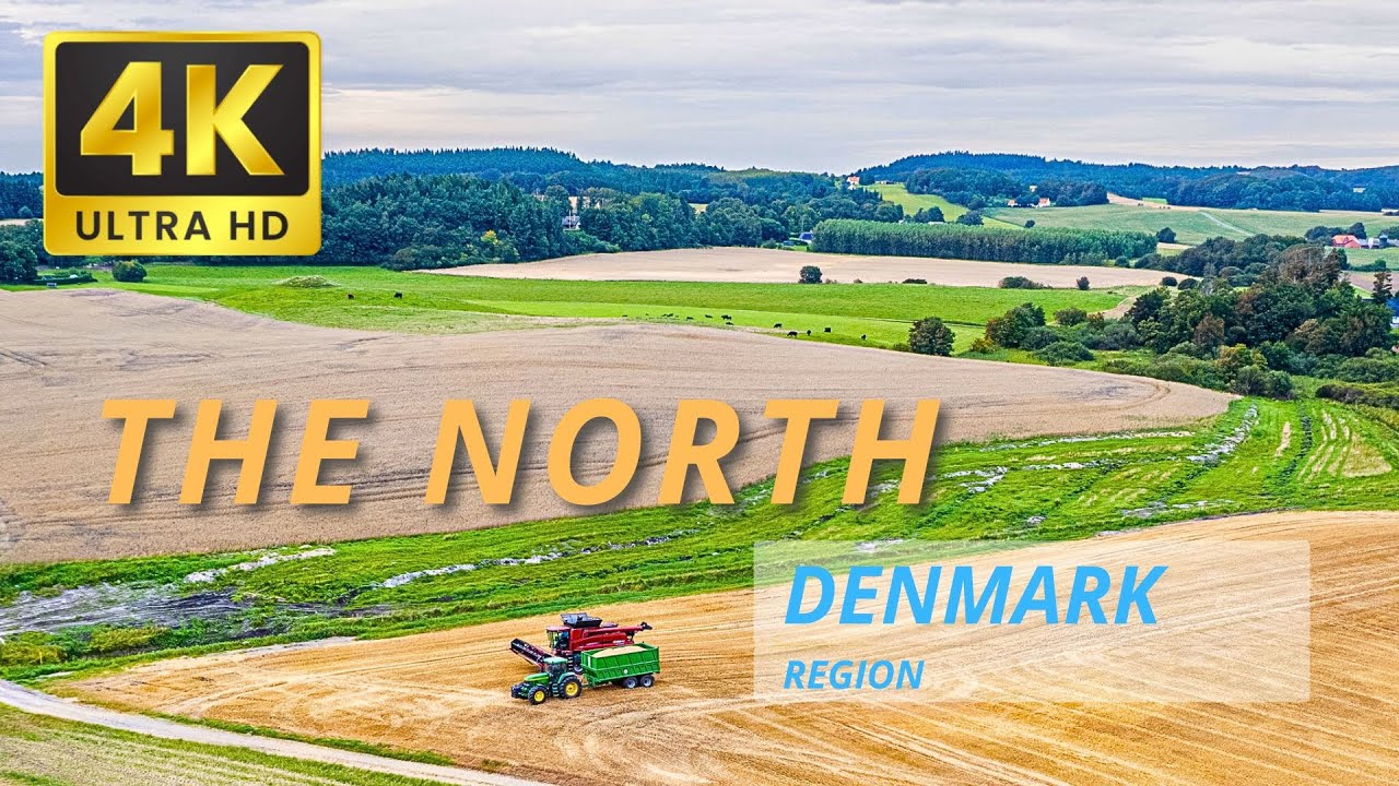 Exploring the Breathtaking Beauty of North Jutland: Danish Naturen and Wildlife in 4k UHD