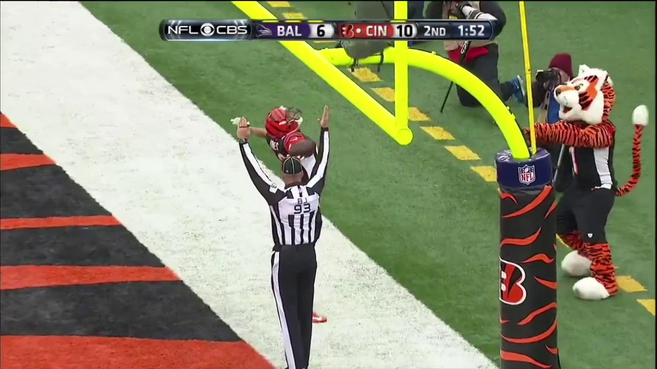 Ravens @Bengals Week 17 2013 Highlights