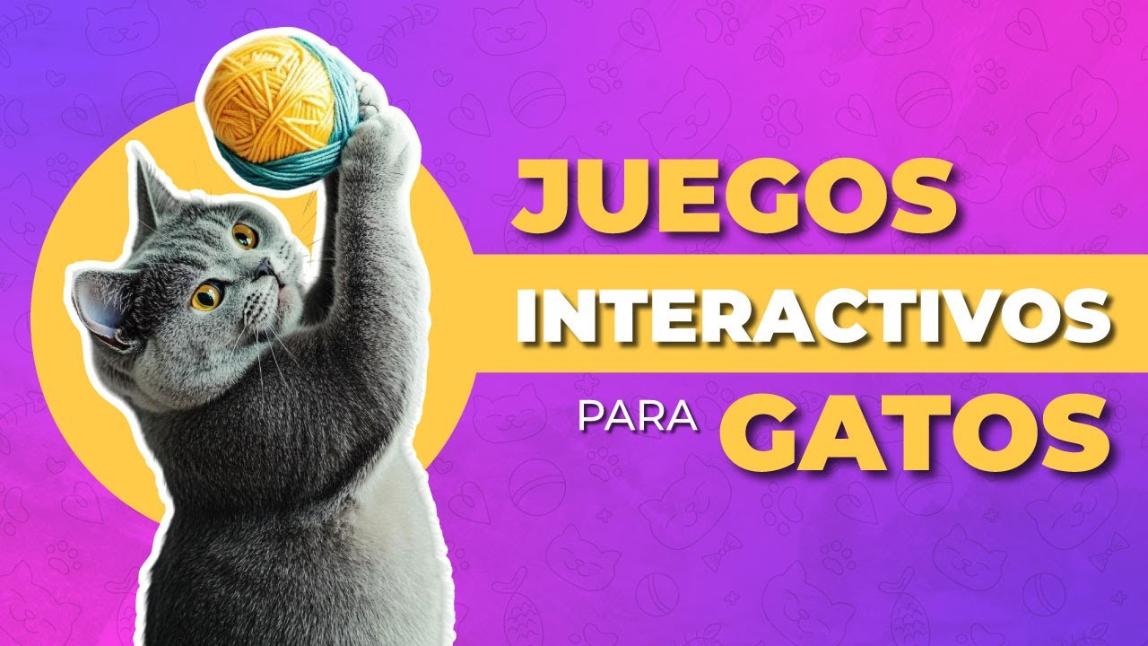 5 Mejores JUEGOS INTERACTIVOS para gatos 🐈🧶
