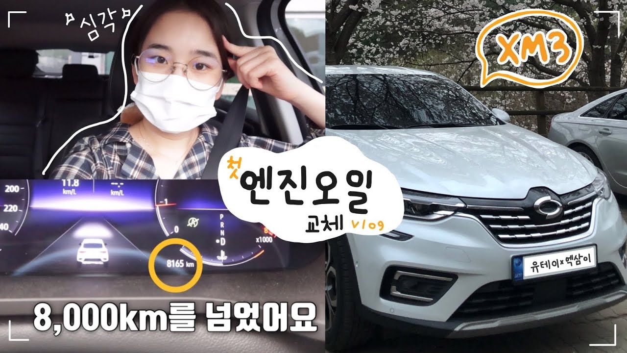 엑삼이 6개월간 8천키로 타고 첫 엔진오일 교체 / xm3 엔진오일 교체 vlog