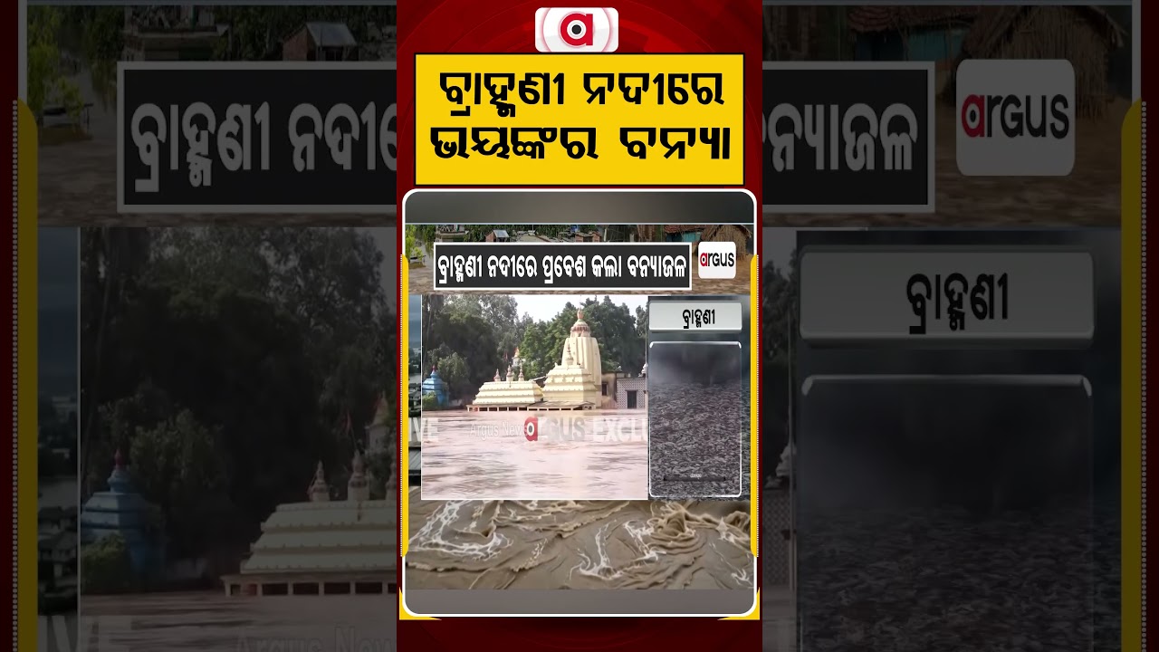 ବ୍ରାହ୍ମଣୀ ନଦୀରେ ଭୟଙ୍କର ବନ୍ୟା | Brahmani River Crosses Danger Level At Jenapur | Argus News