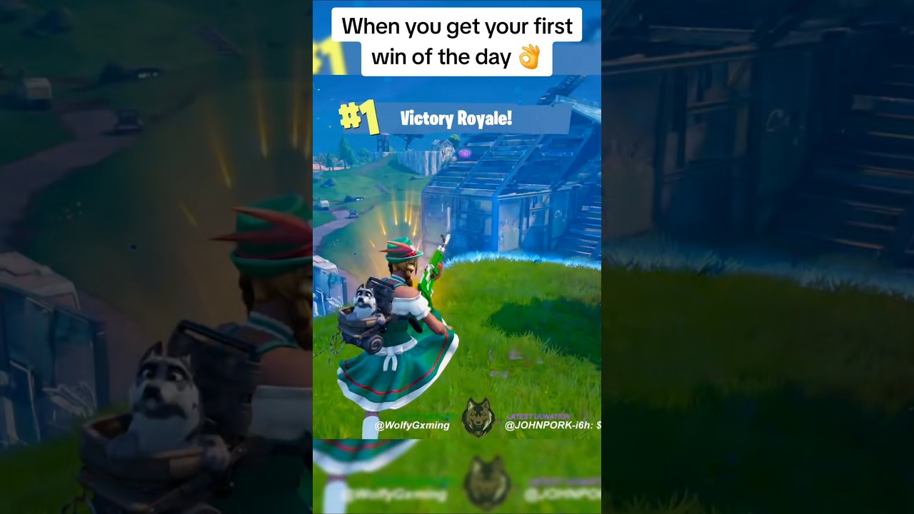 Легкая победа #fortnite #TeamVLTG #fyp #solos #win