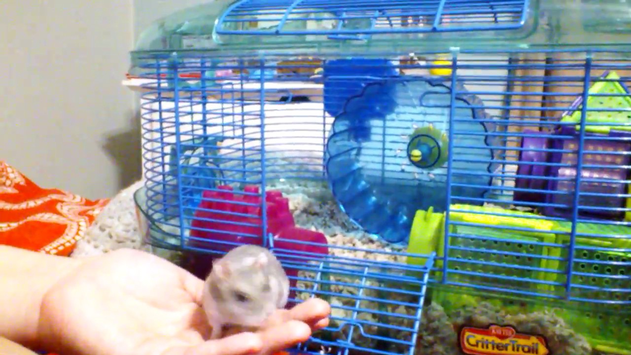 Aye Itz Snowy :3 ;P