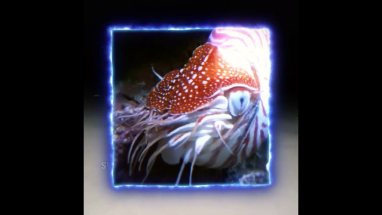 this is real #breakcore #dnb