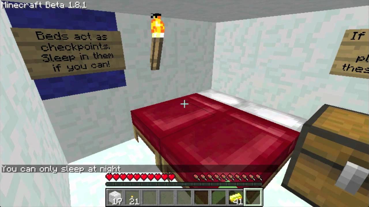 Minecraft: Paradox (Part 2)