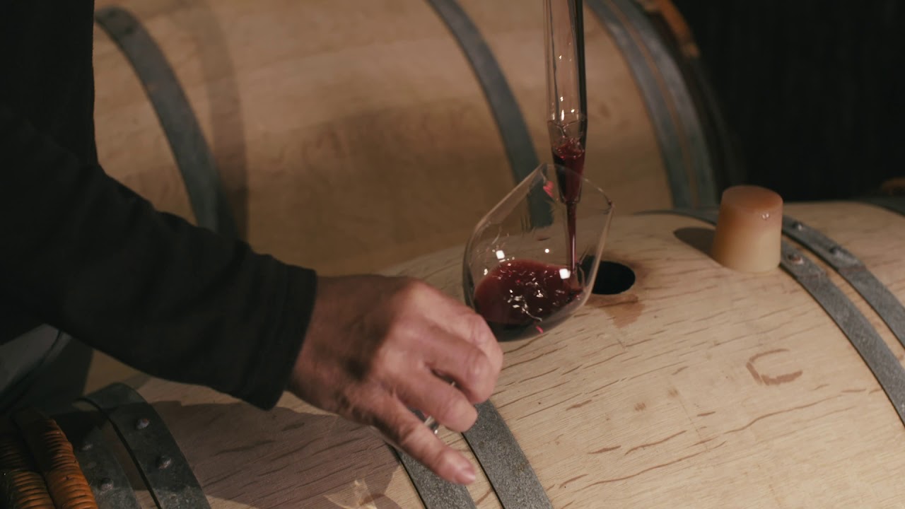 Les Vins d'Irouleguy - Le Domaine Brana
