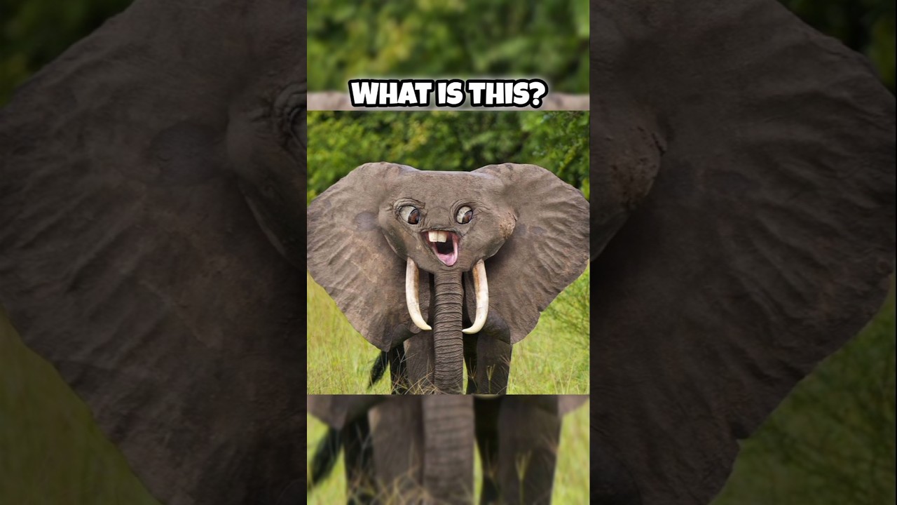 How kids drawing look in real life | #animals #kidsdrawing #facts