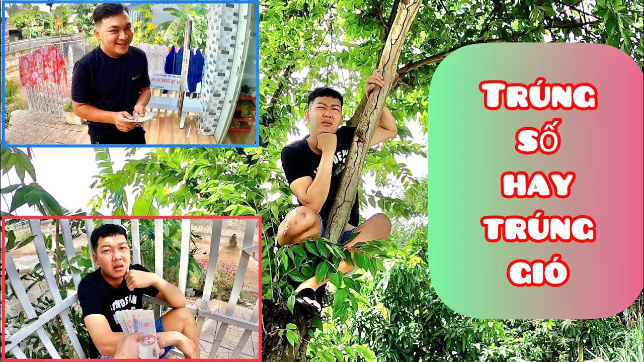 Một Chiếc Video G&acirc;y L&uacute; Đến Tứ Dương Cảnh