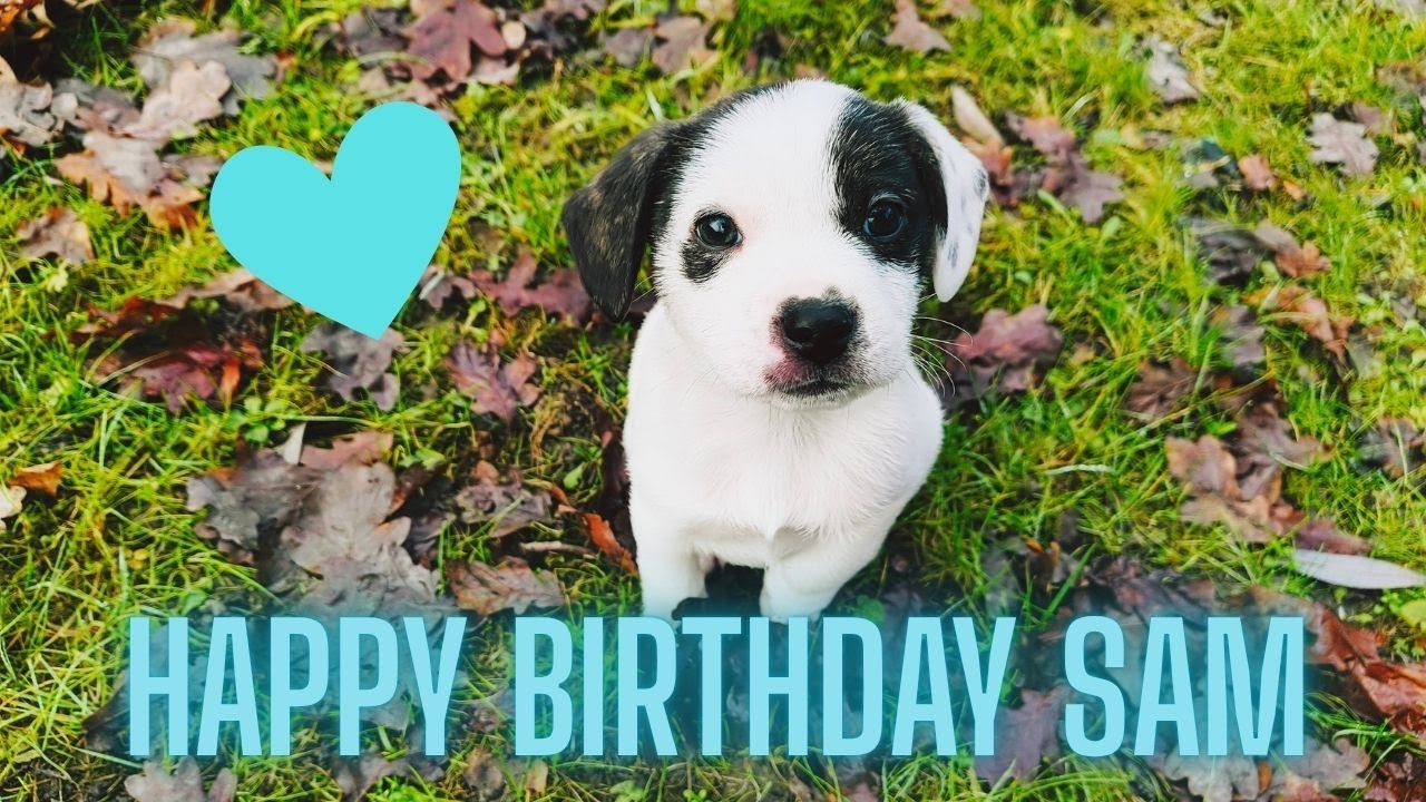 Happy Birthday Sam❤️ 22.10.2024 - HEUTE 1 JAHR !!!
