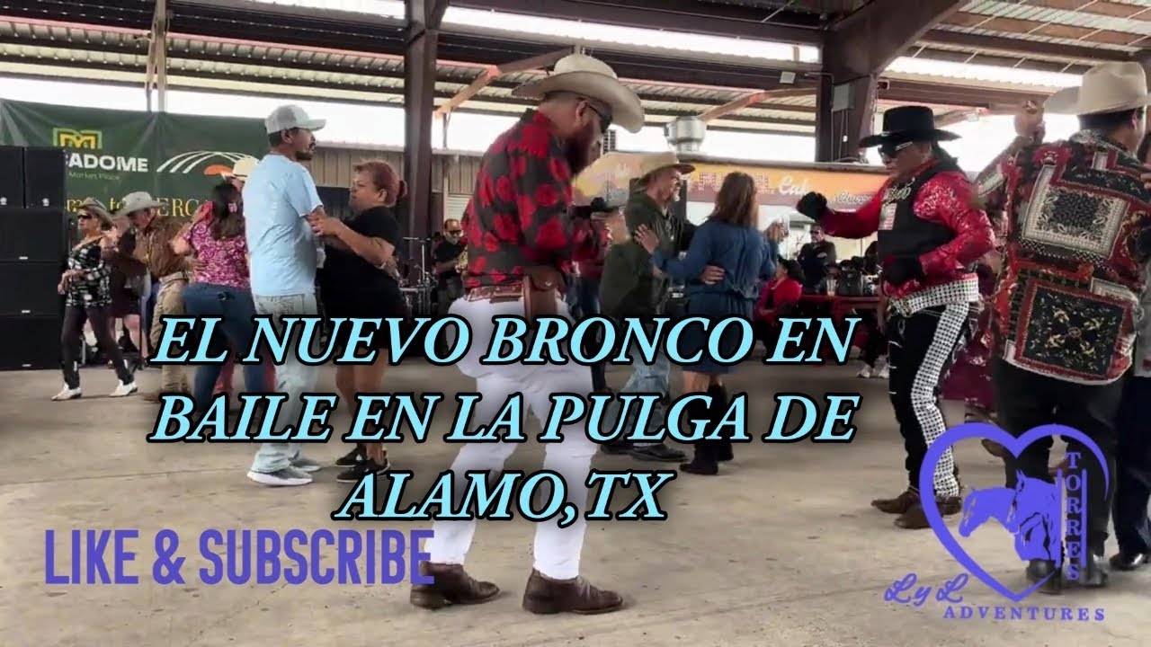 Domingo en La Pulga DE Alamo Texas