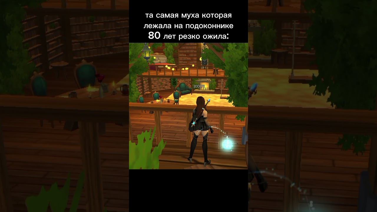 #aq3d #юмор #adventurequest3d #memes #aq2d #игра #муха #80лет