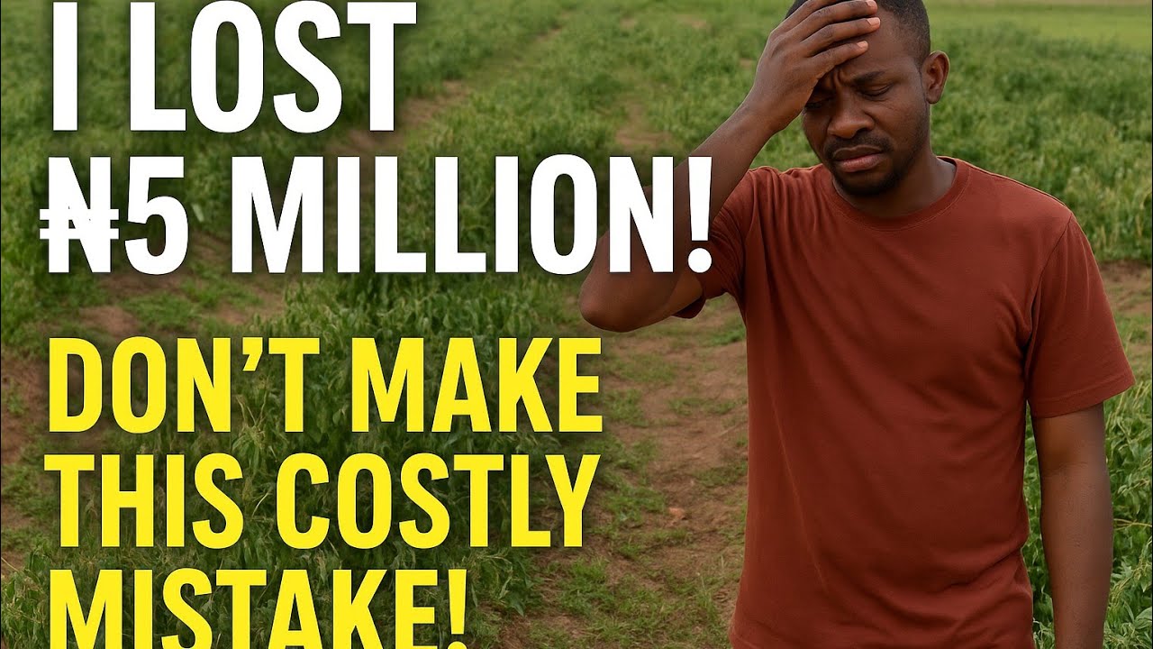 I Lost ₦5 Million in My Pepper Farm &ndash; Don&rsquo;t Make This Costly Mistake!