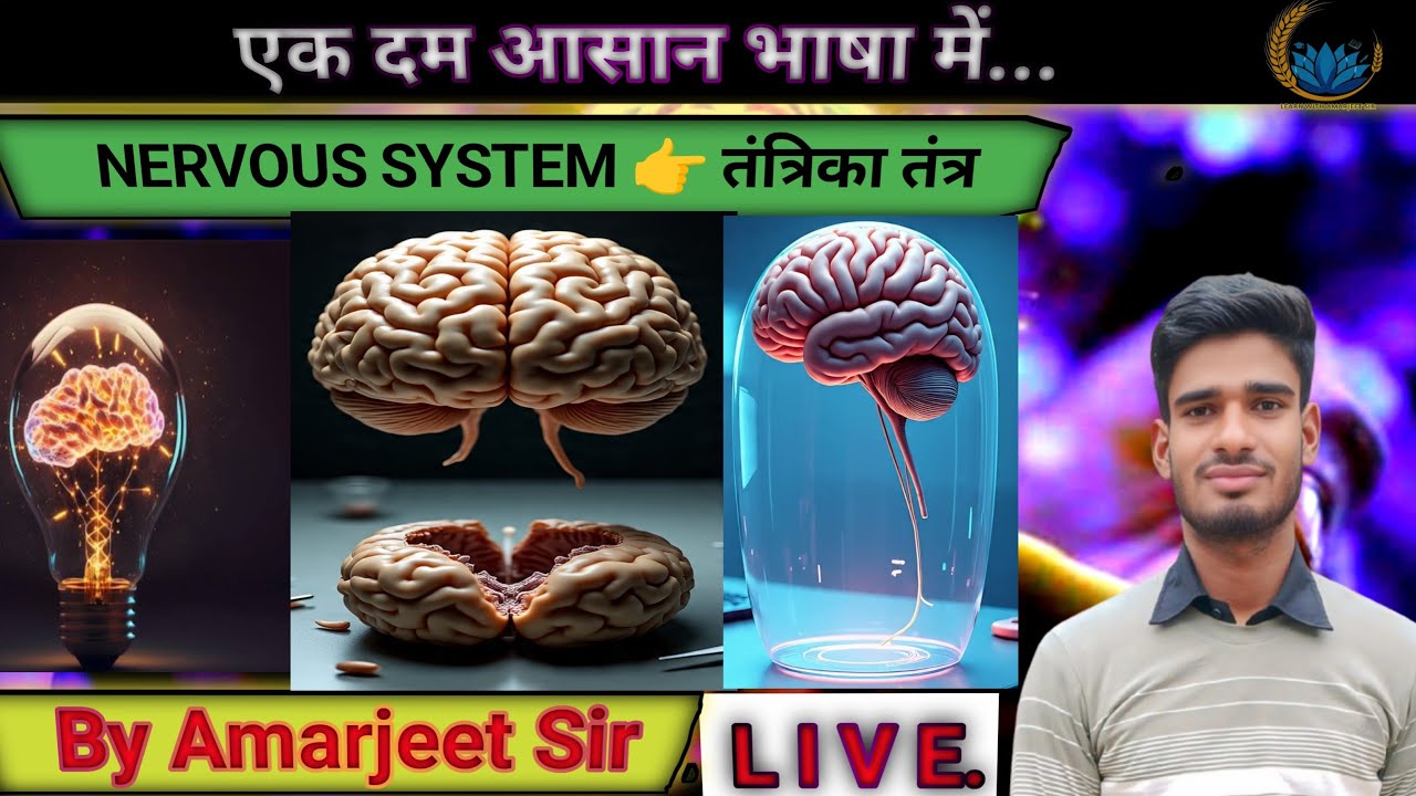 Lacture 50//NERVOUS SYSTEM//तंत्रिका तंत्र by Amarjeet sir biology class