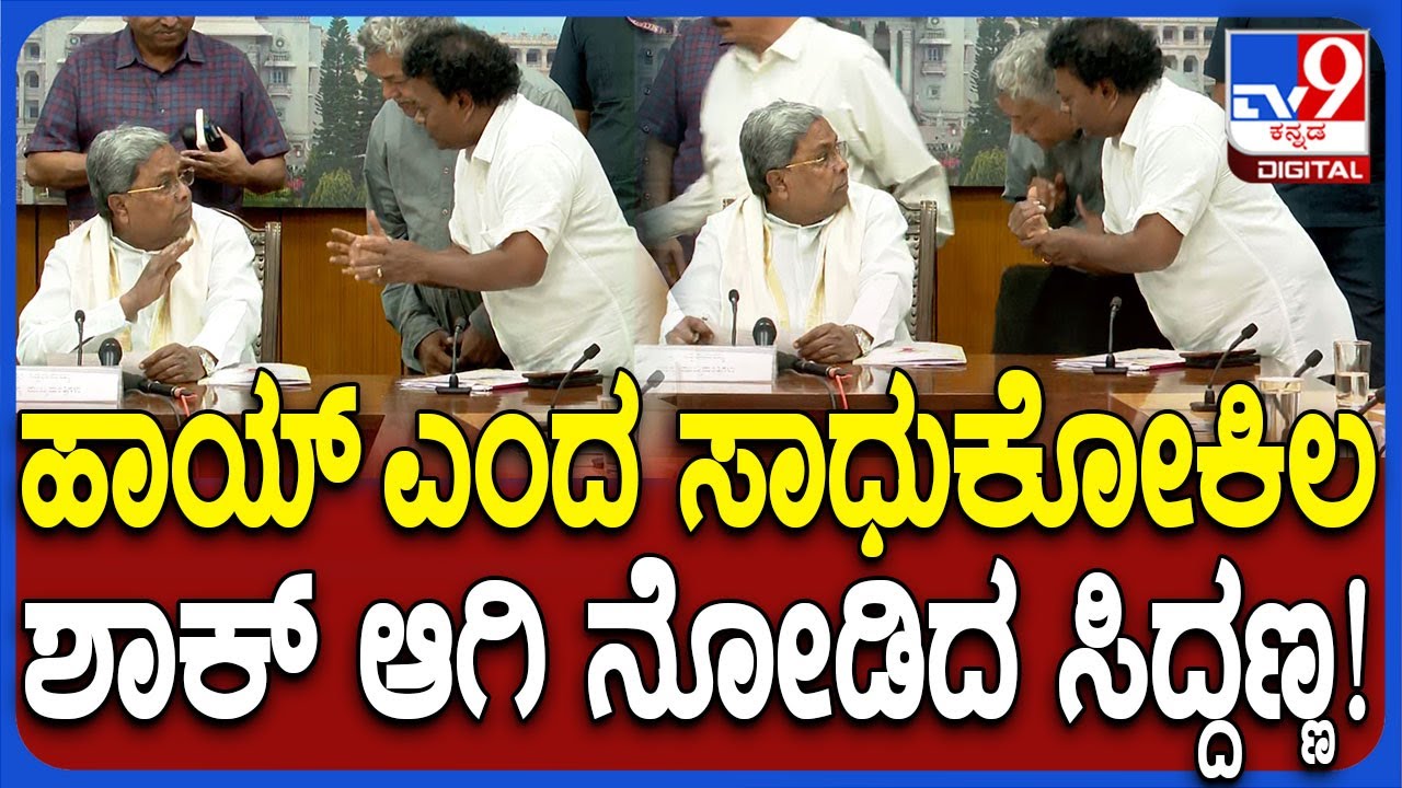 Siddaramaiah ಭೇಟಿಯಾದ ಸಾಧುಕೋಕಿಲ, ನಟಿ ಭಾವನಾ, ನೀನಾಸಂ ಸತೀಶ್‌!| #TV9D