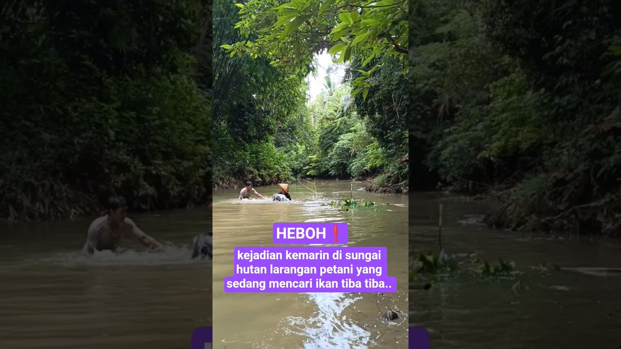 kejadian kemarin di sungai hutan larangan petani yang sedang mencari ikan tiba tiba 
