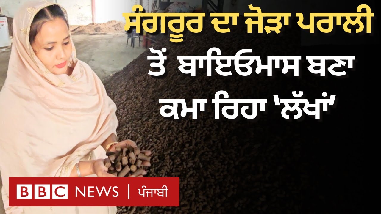 Biomass from Stubble: ਹਰਪ੍ਰੀਤ ਕੌਰ ਜਿਨ੍ਹਾਂ ਨੇ ਪਰਾਲੀ ਦੀ ਮਦਦ ਨਾਲ ਕਾਮਯਾਬੀ ਦੀ ਇਬਾਰਤ ਲਿਖੀ| 𝐁𝐁𝐂 𝐏𝐔𝐍𝐉𝐀𝐁𝐈