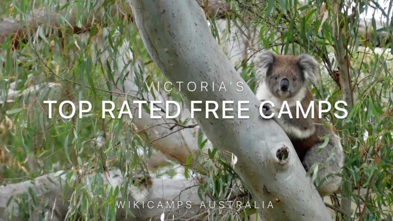 Victoria's Top Rated Free Camps
