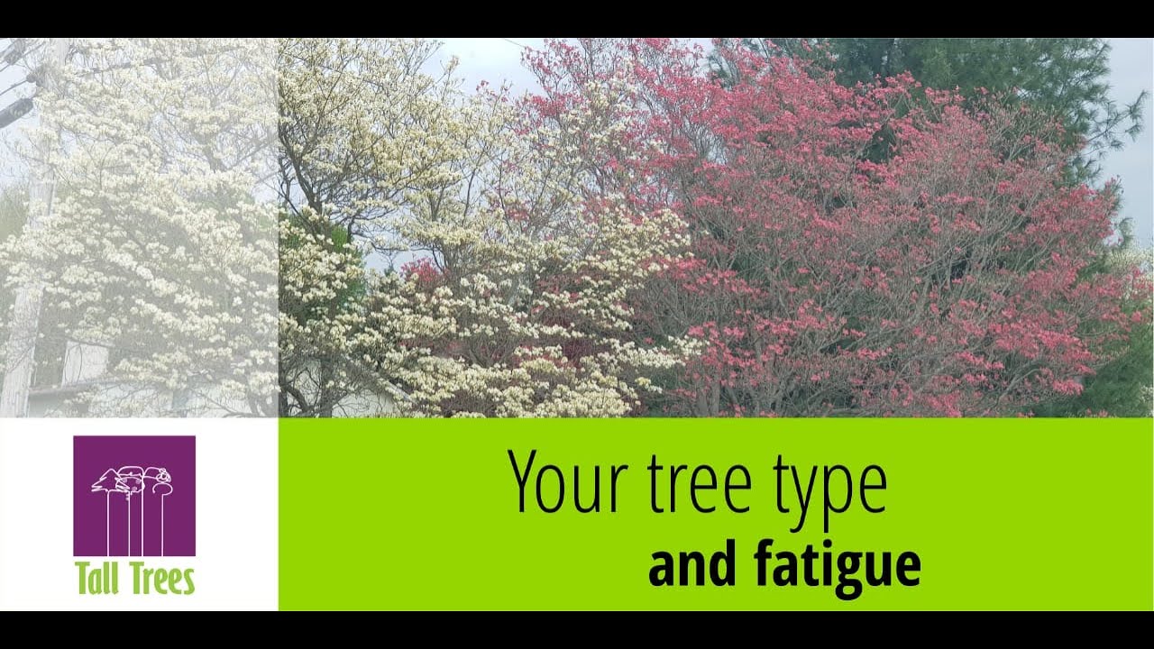 Your Tree Type and Fatigue