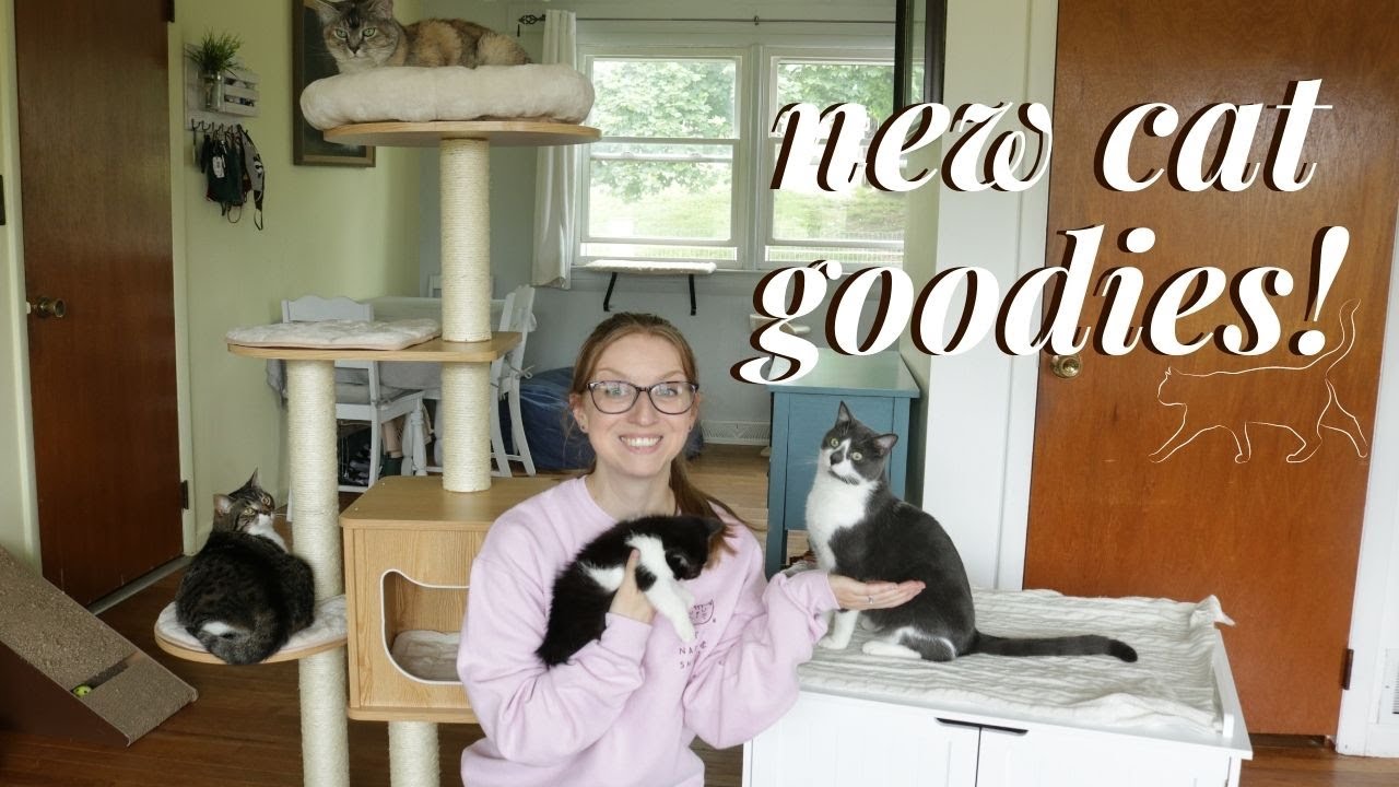 Tangkula Cat Furniture Review!