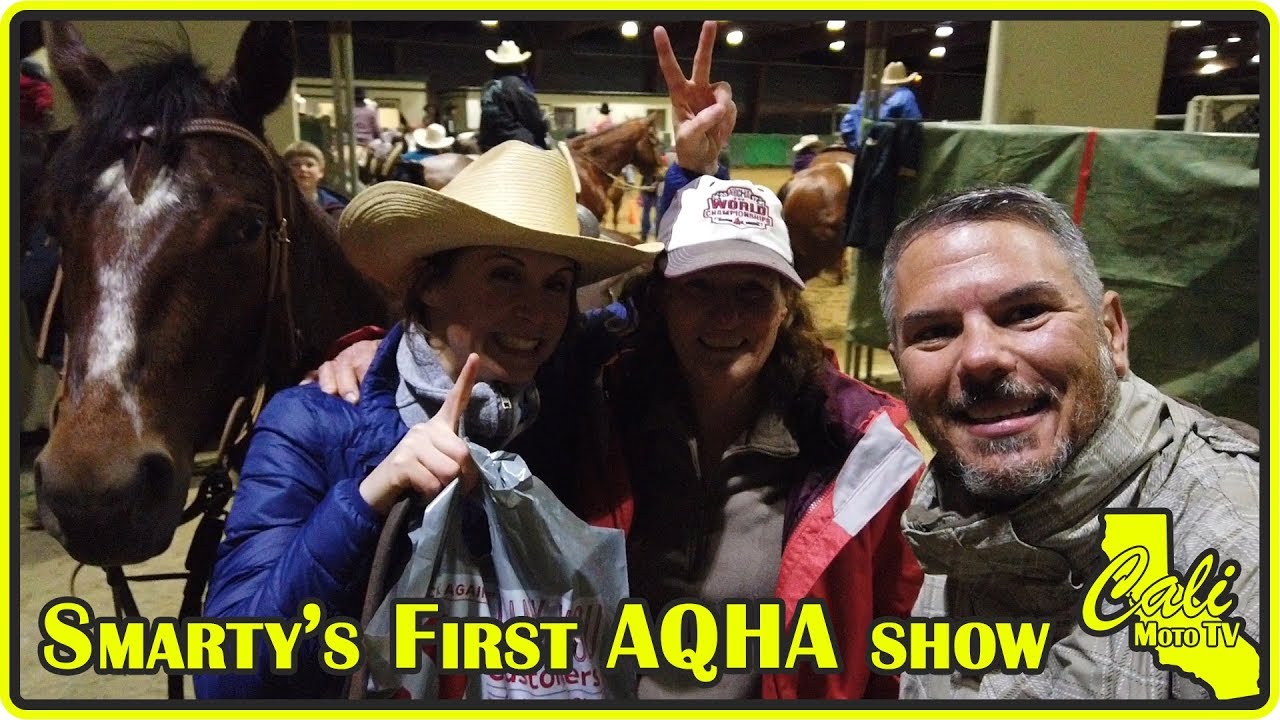 Smarty's First American Quarter Horse Association Show - AQHA
