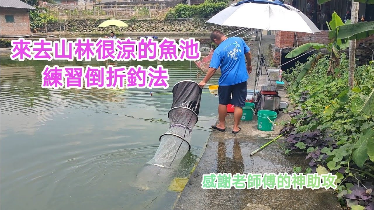 【福壽魚之章-當日上片】來去南投山林很涼的魚池，練習倒折釣法！