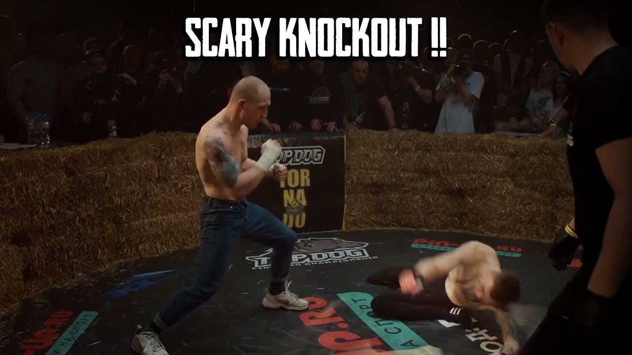 The MOST BRUTAL KO's from Aleksey Melnikov 