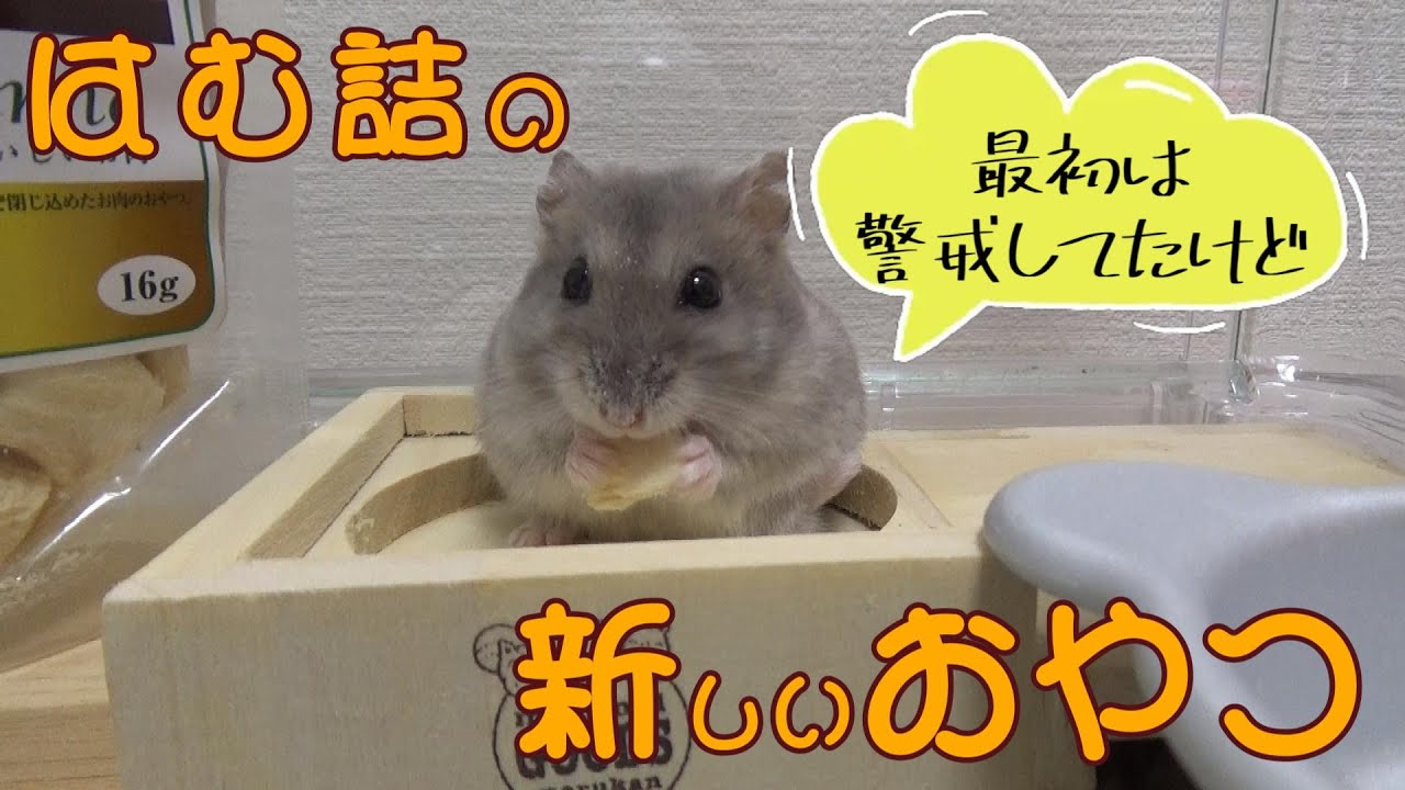 はむ詰の新しいおやつをご紹介します！