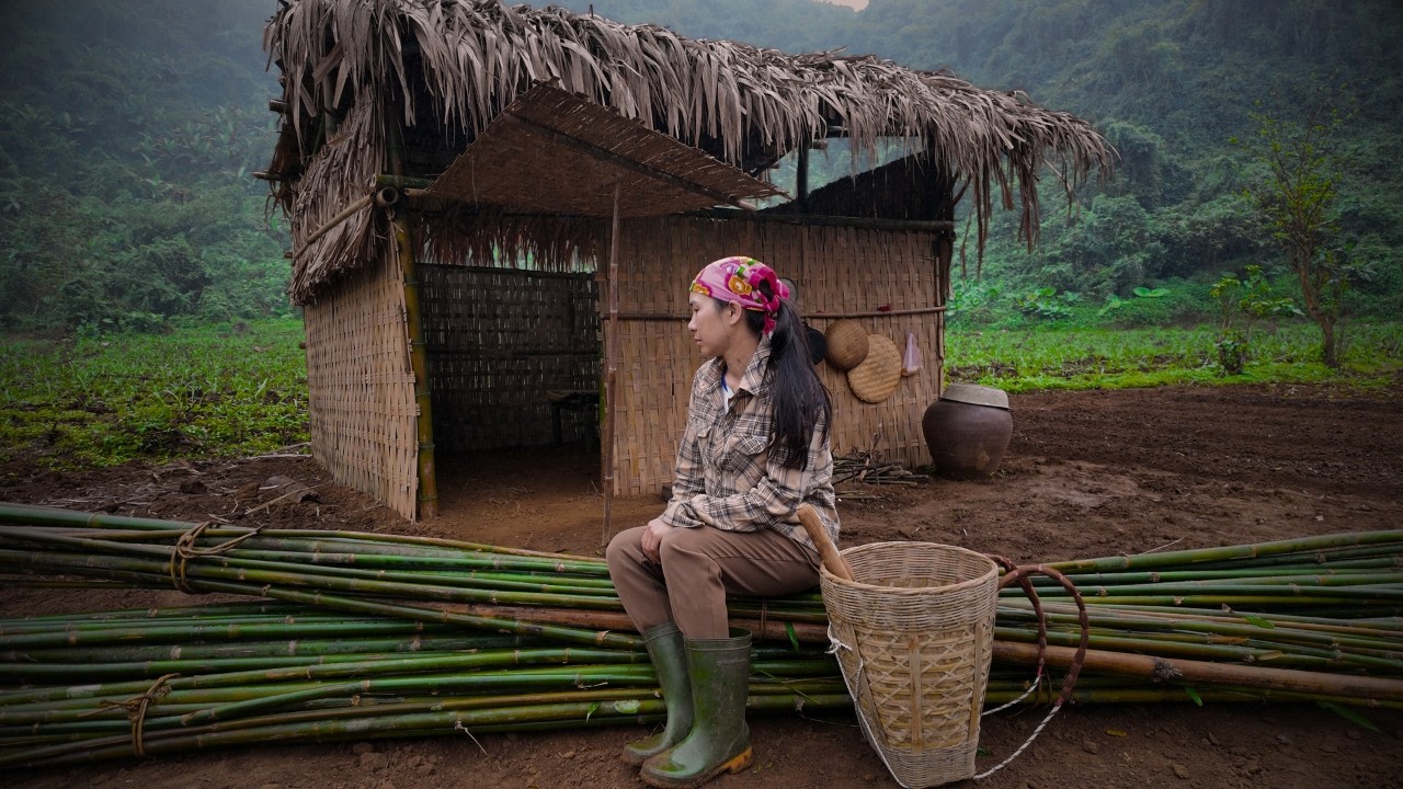 Single Mother Life l Harvesting Bamboo to Make a Chicken Coop Alone