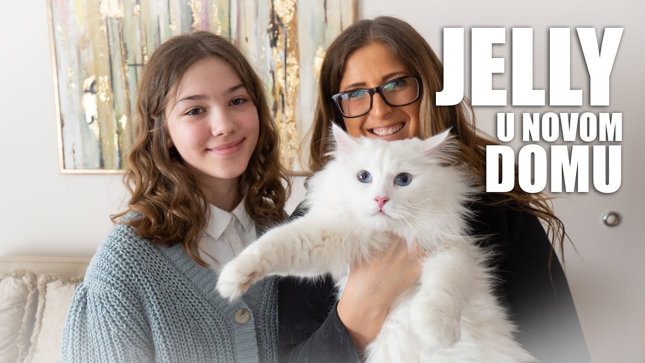JellyBean je otišao u svoj novi dom