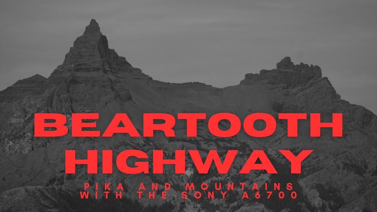 Beartooth Highway Scenic Drive | Photographing Pika & Mountain Landscapes with the Sony a6700 📸
