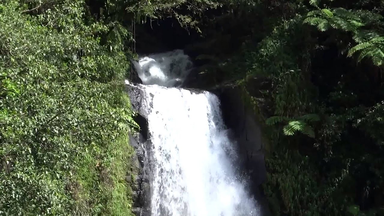 Dominica - Trafalgar Falls HD (2015)