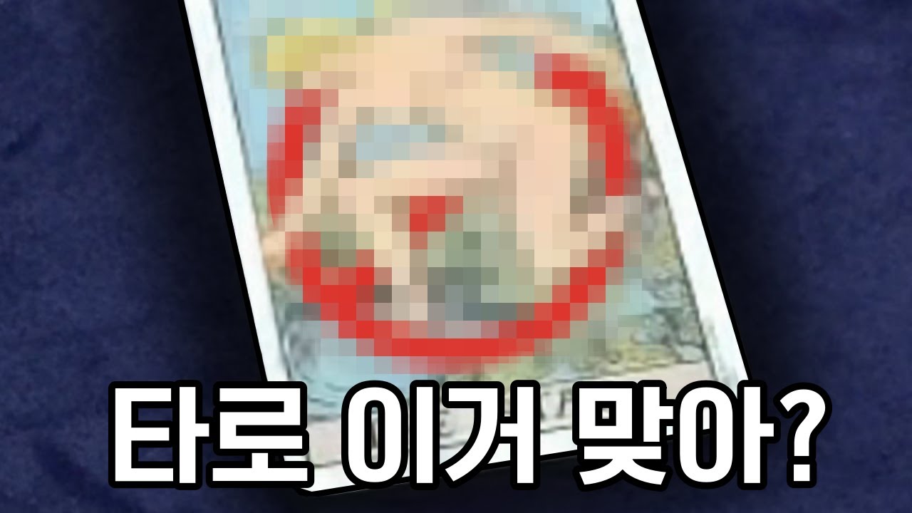 2025 신년 타로 절망편
