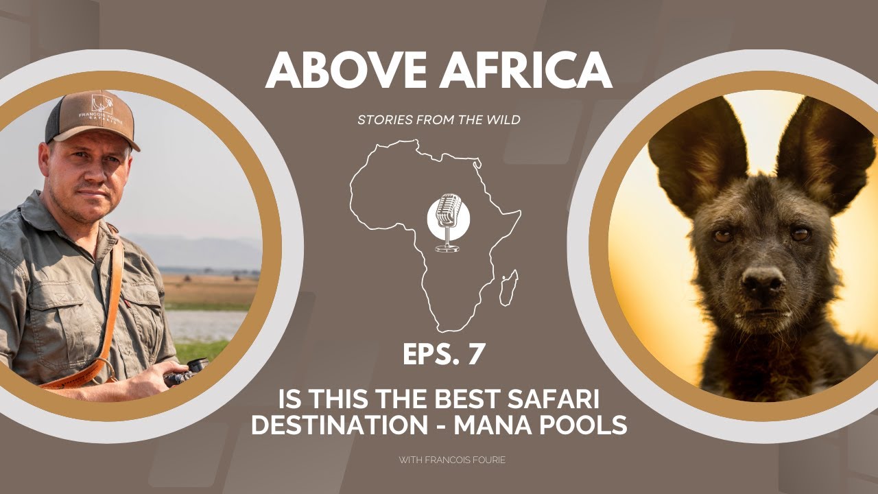 IS THIS THE BEST SAFARI DESTINATION IN AFRICA - MANA POOLS