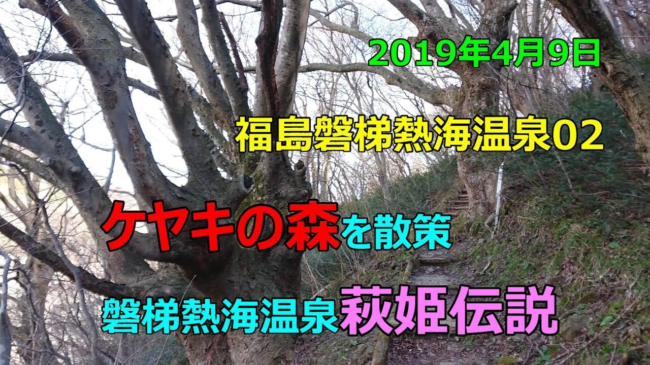 【福島磐梯熱海温泉02・ケヤキの森散策、萩姫伝説を知る】