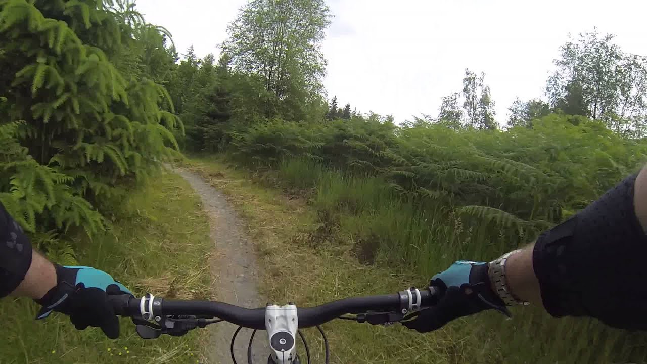Descender Bender, The Burn Splash and The Scorpion - Mabie Forest, Scotland