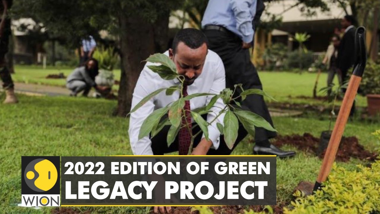 Ethiopian PM plants trees for 'Green Legacy' project | Campaign to plant six billion trees