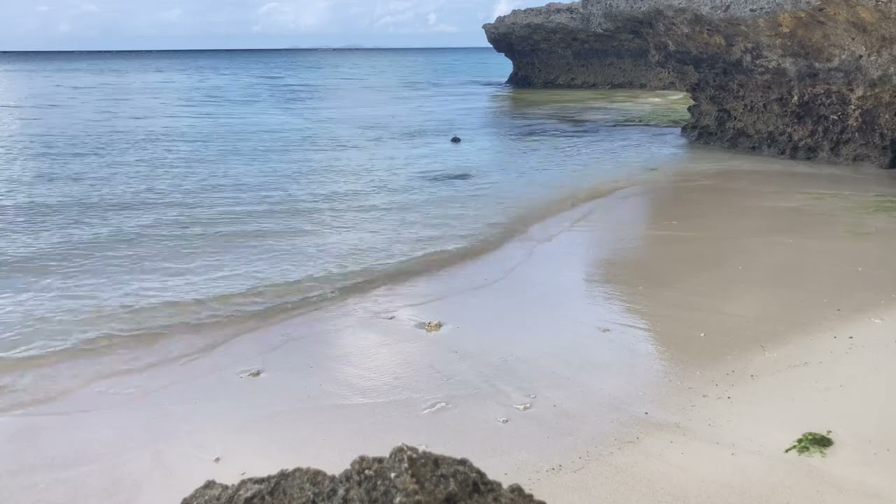 沖縄の今朝の海🏖️今帰仁村佐田浜ビーチ⛱️20260118-3
