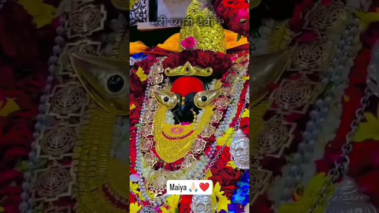 #devotional songs 🌹🥀    Divya tera darbar Hai Devi Divya tera darbar ❤️👏👏