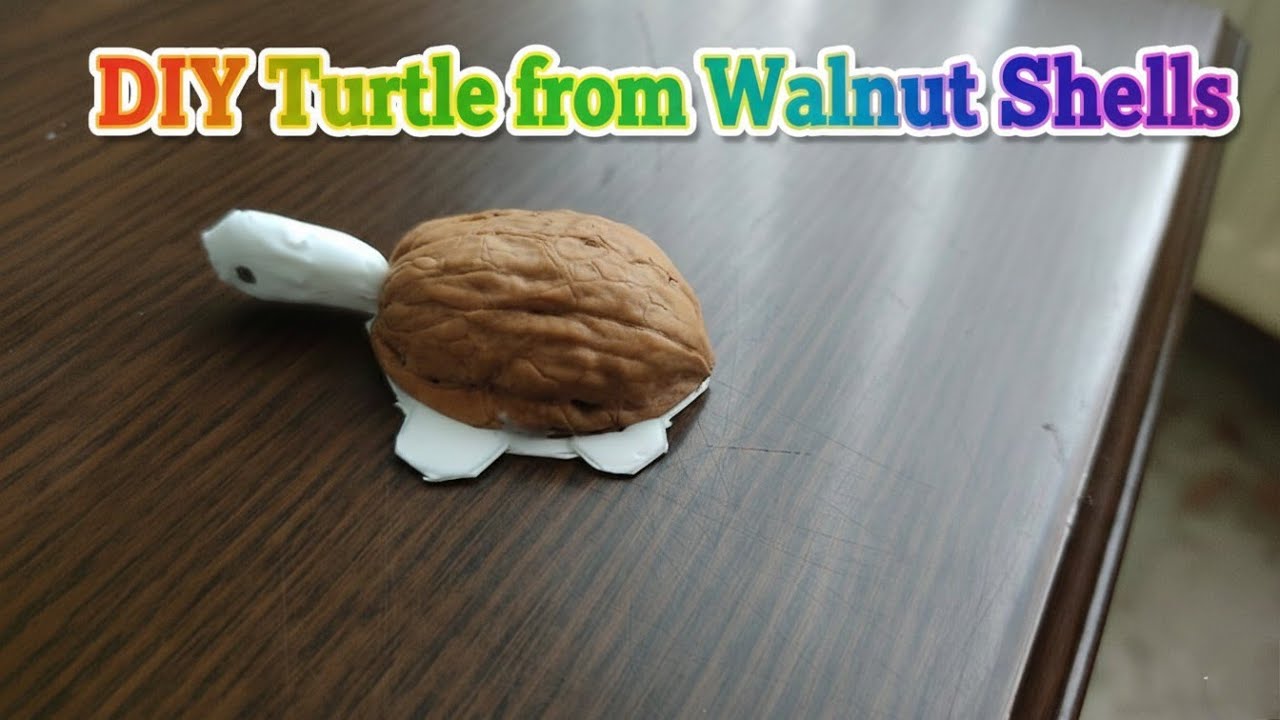 DIY Turtle from Walnut Shell