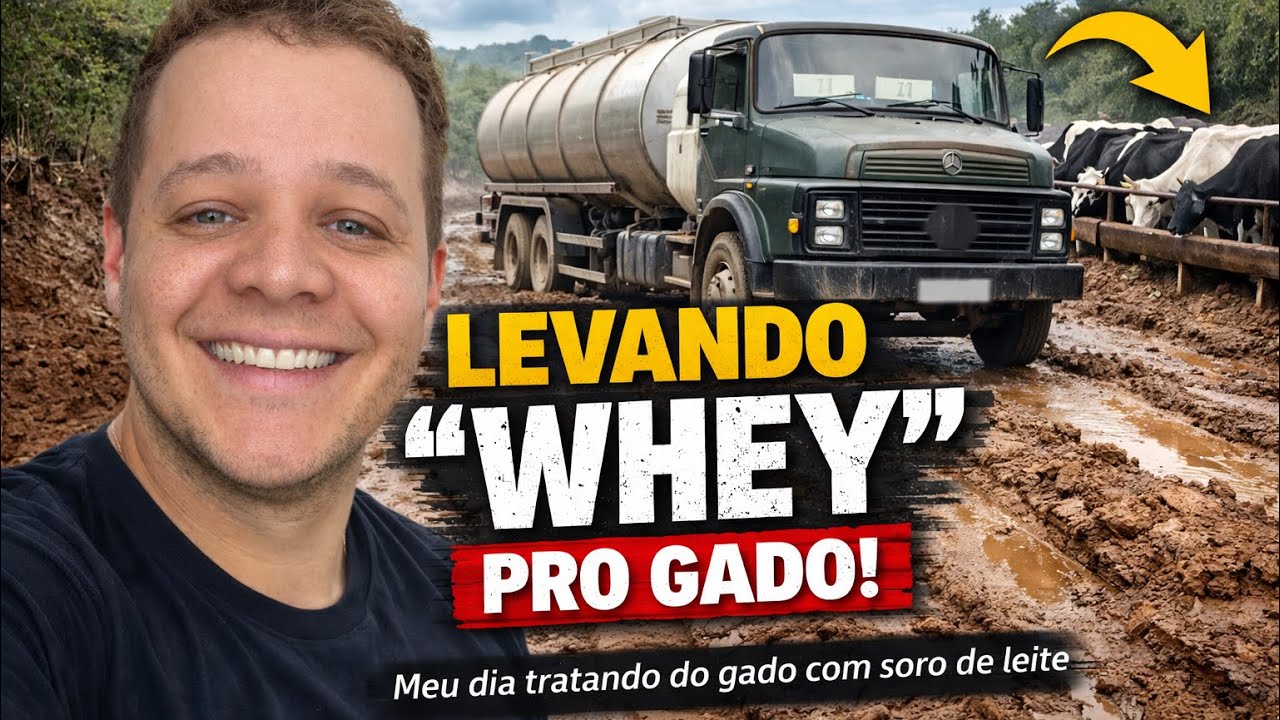Meu Dia Tratando o Gado com Whey protein Soro de Leite na Prática!
