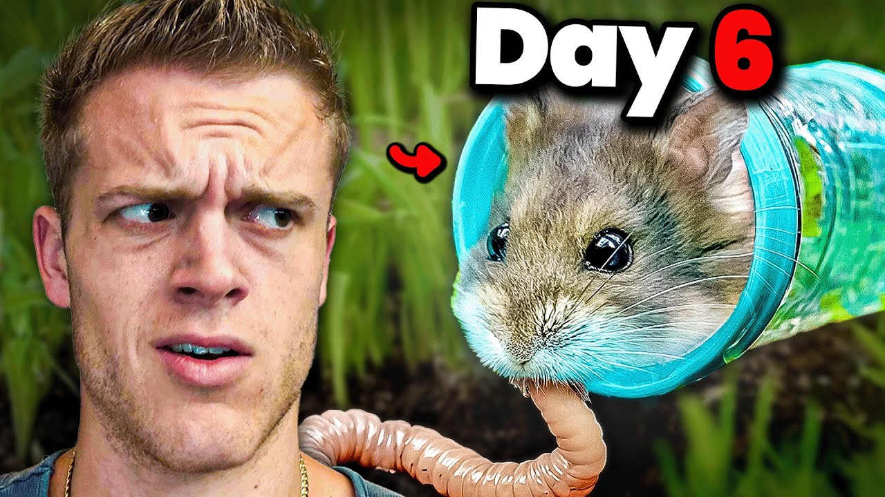 Can Hamsters Survive In The Wild?