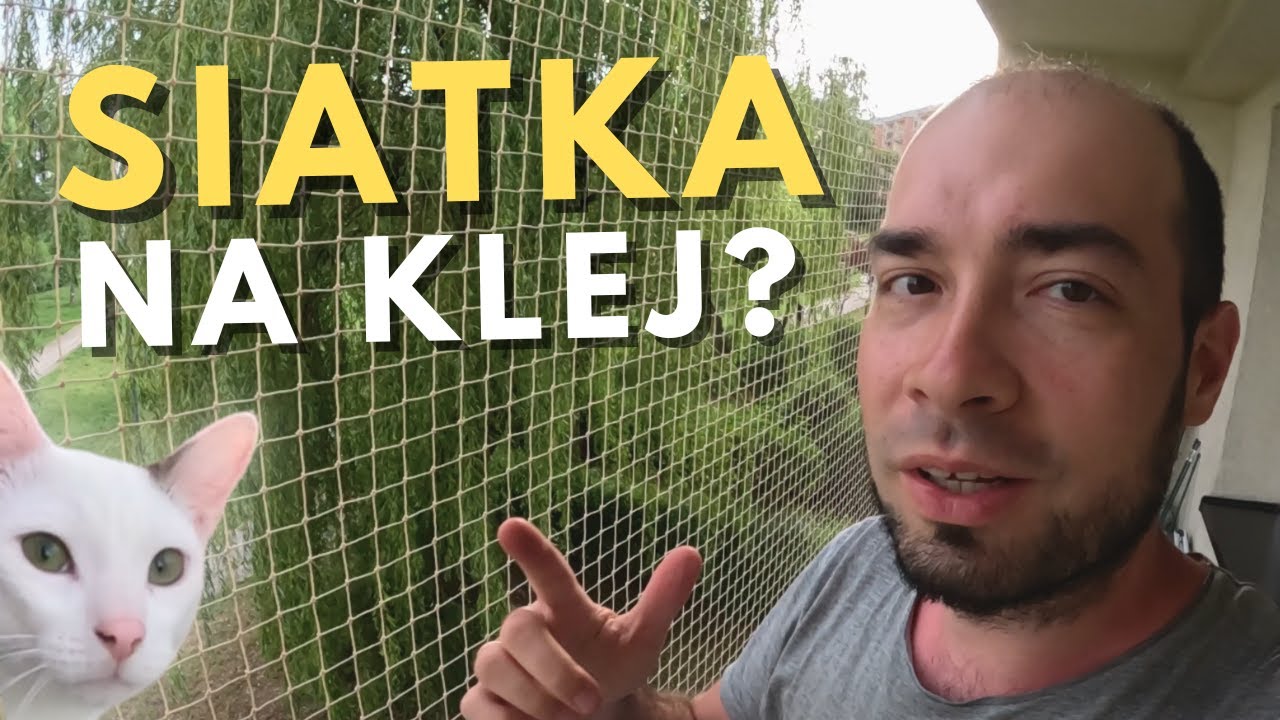 JAK ZAMONTOWAĆ SIATKĘ BALKONOWĄ DLA KOTA? Montaż siatki zabezpieczającej BEZ WIERCENIA, NA KLEJ