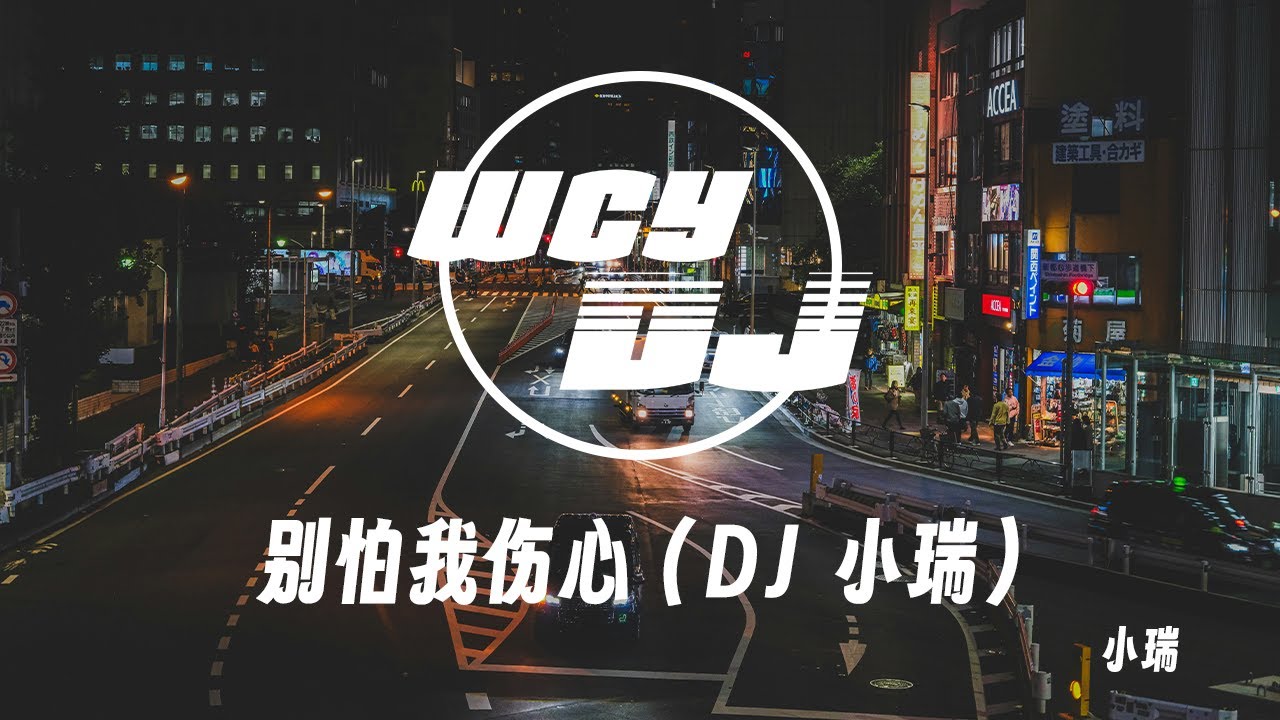 小瑞 - 别怕我伤心 (DJ 小瑞) 「一颗爱你的心 时时刻刻为你转不停，我的爱也曾经 深深温暖你的心灵」【動態歌詞/pīn yīn gē cí】
