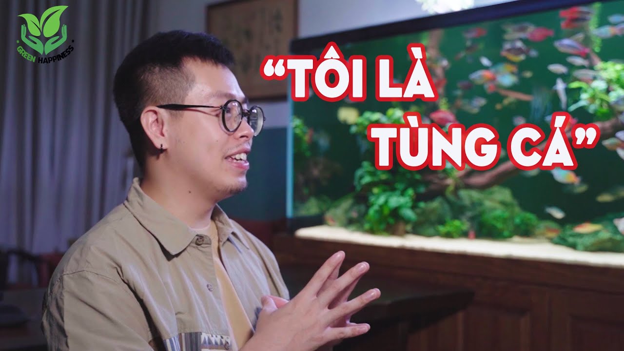 Thăm bể Thủy sinh cá Cầu vồng tuyệt đẹp của Tùng cá #Greenhappiness