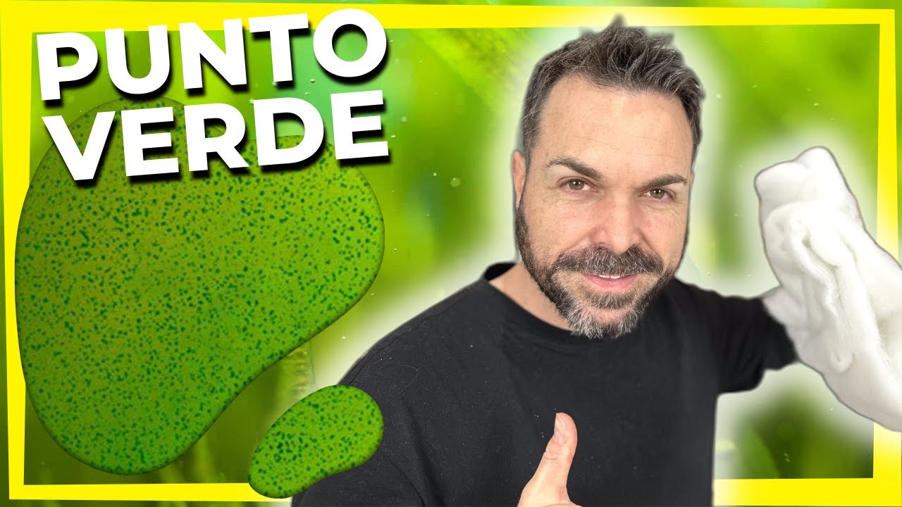 Alga por alga | Punto verde en el acuario plantado