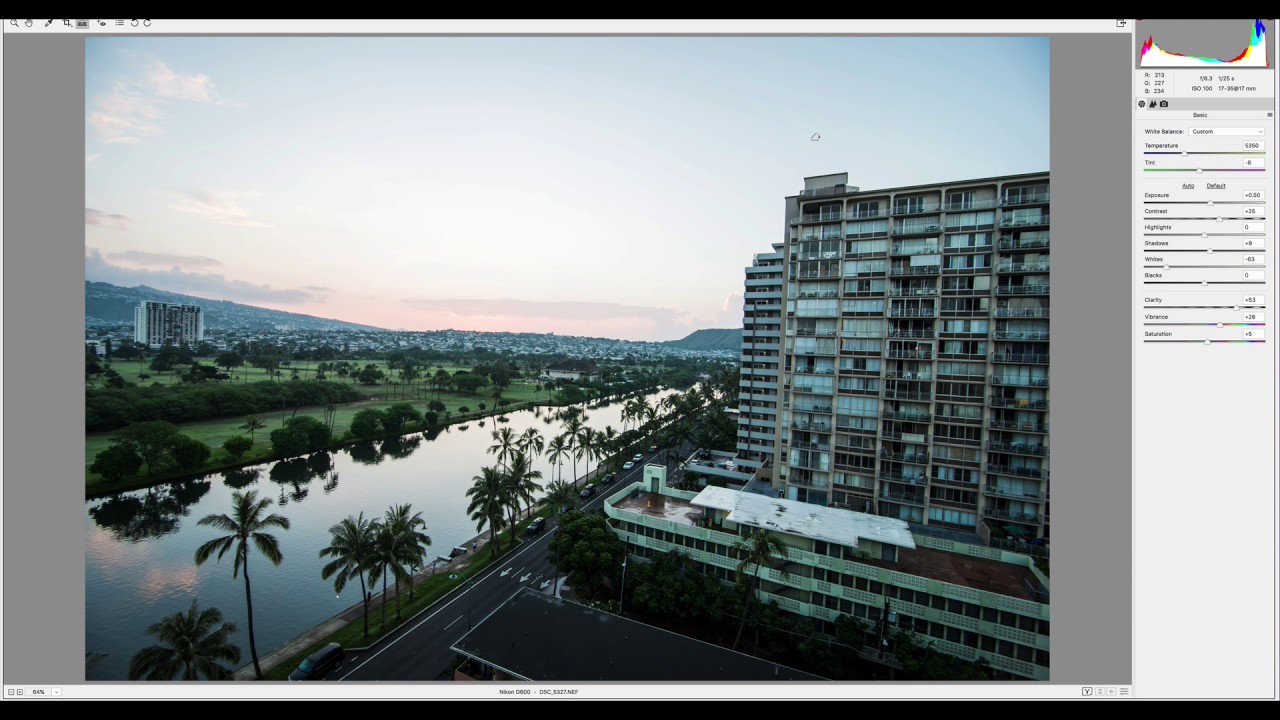 Photoshop Elements 2018 Camera Raw Editor