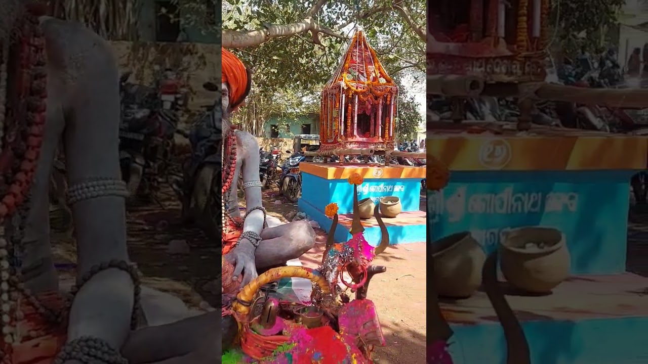 Harirajpur Panchu Dola Melana #song #music #live #newsong