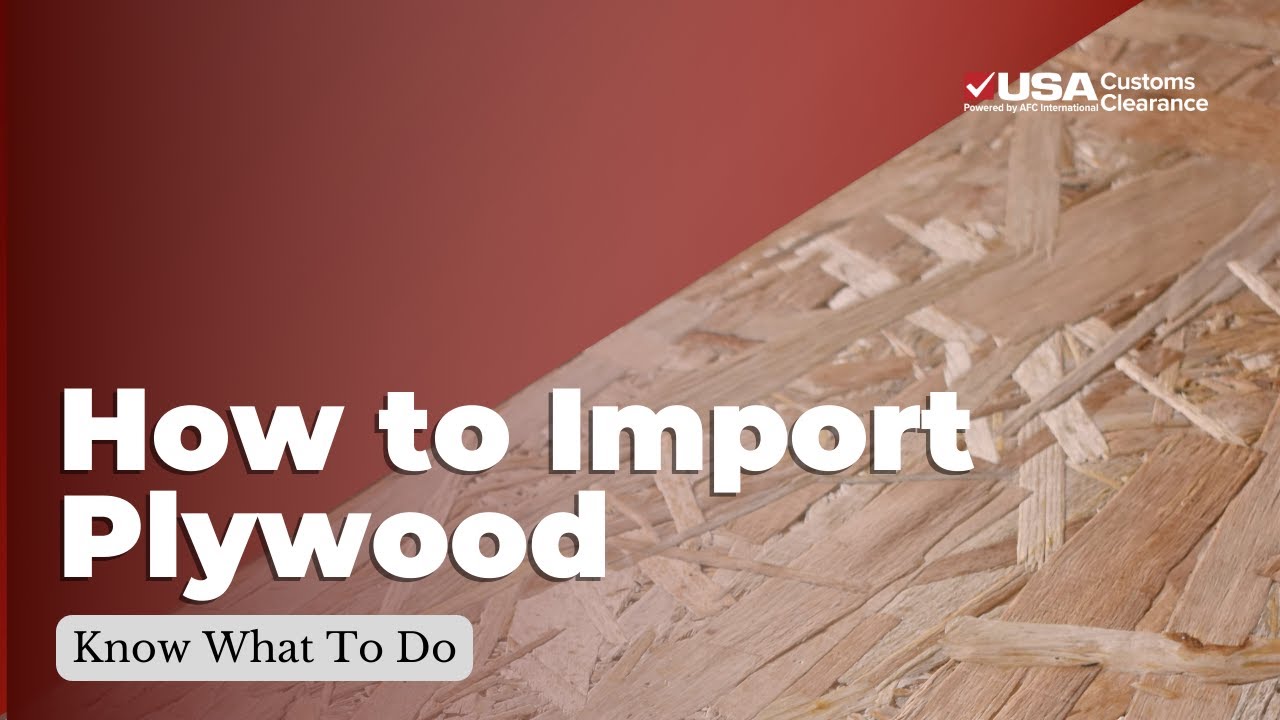 How to Import Plywood: Know What To Do