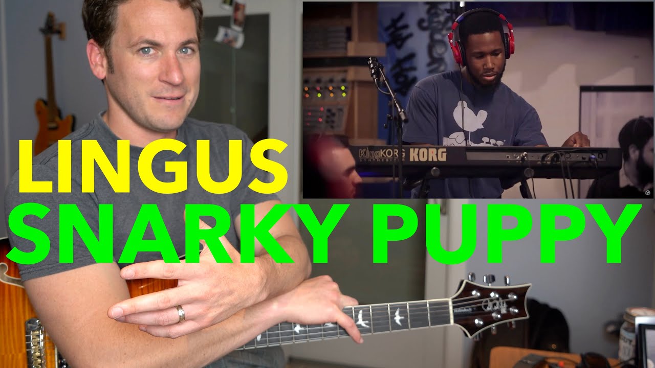 Учитель игры на гитаре РЕАКЦИЯ: SNARKY PUPPY 